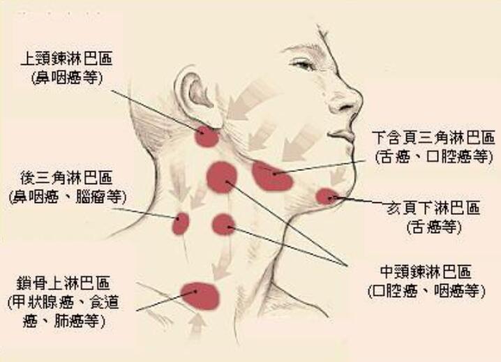 南寧技術(shù)好的美容學校：刮頸部淋巴的好處