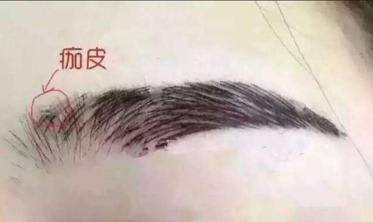 QQ截圖20211111150226.jpg