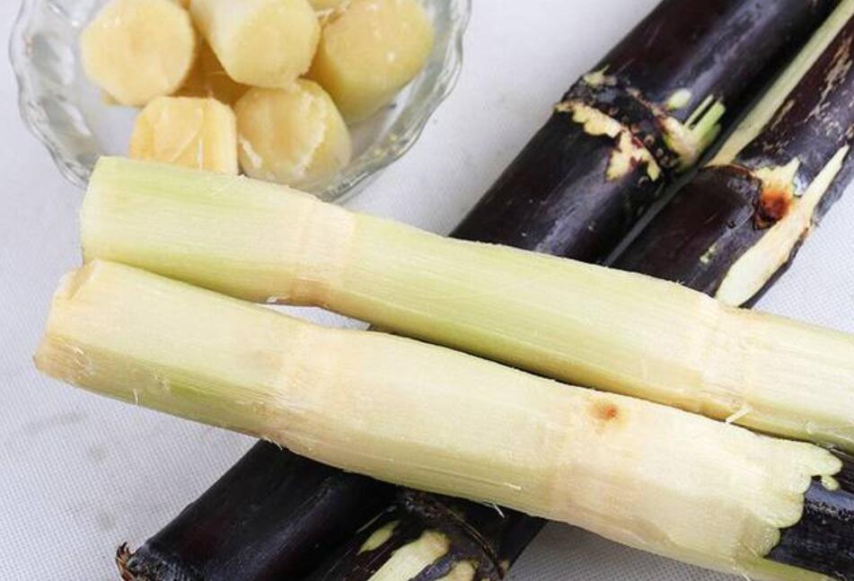 秋冬適合吃什么？南寧教美容養(yǎng)生的學校分享給你