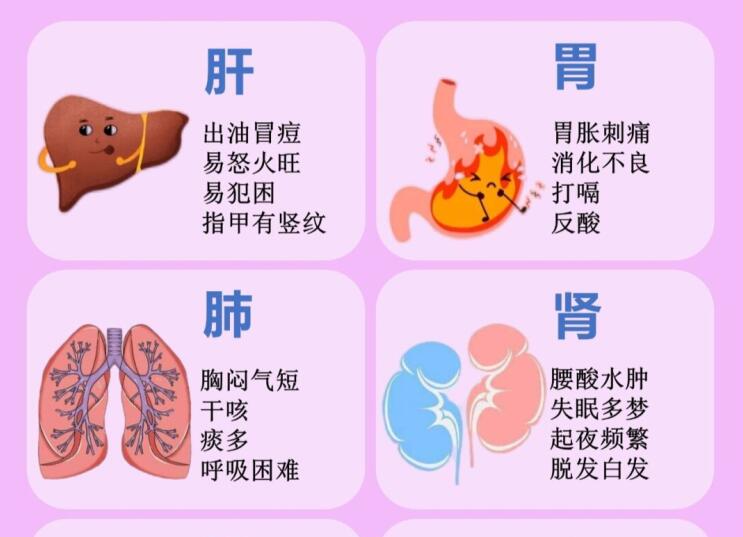6大臟器保養(yǎng)指南，6款養(yǎng)生茶喝起來 ???