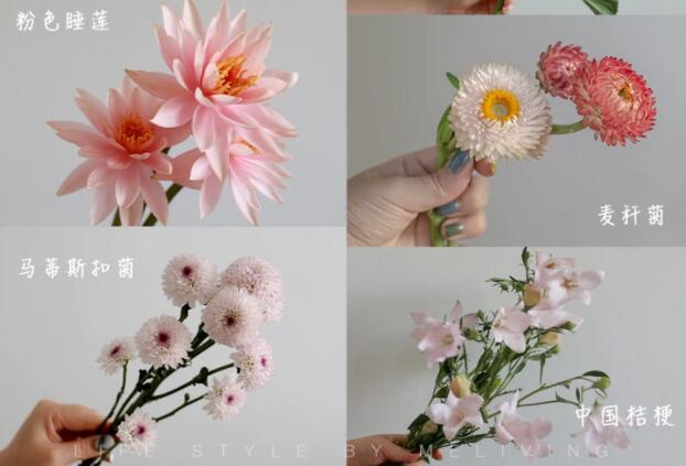 認(rèn)識(shí)常見花朵的名稱，廣西插花學(xué)?；ㄋ嚺嘤?xùn)基礎(chǔ)