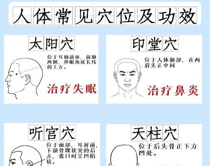 人體常見穴 位及功效，廣西專業(yè)正規(guī)美容學(xué)校講解