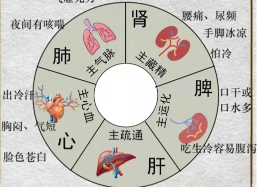 人體不同部位受寒的表現(xiàn)，廣西中醫(yī)美容培訓(xùn)分享