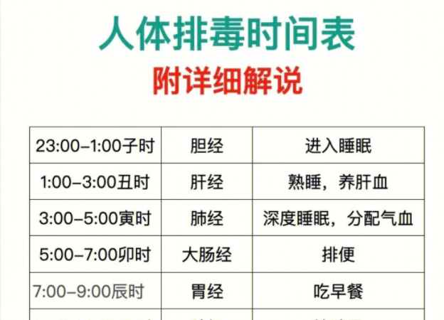 人體排毒時(shí)間表，南寧美容專業(yè)學(xué)校詳細(xì)解說