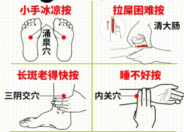 女性如何養(yǎng)生調(diào)理 ？南寧中醫(yī)美容培訓(xùn)分享