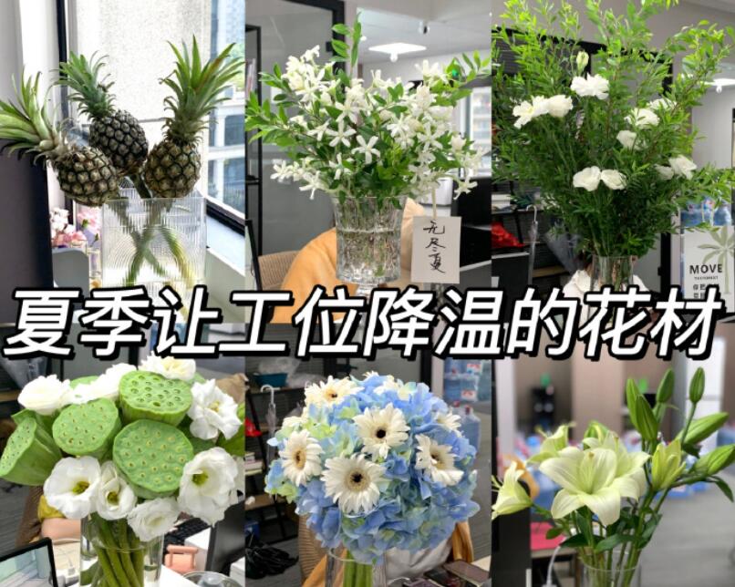 自帶降溫效果的花材，廣西學(xué)鮮花技術(shù)