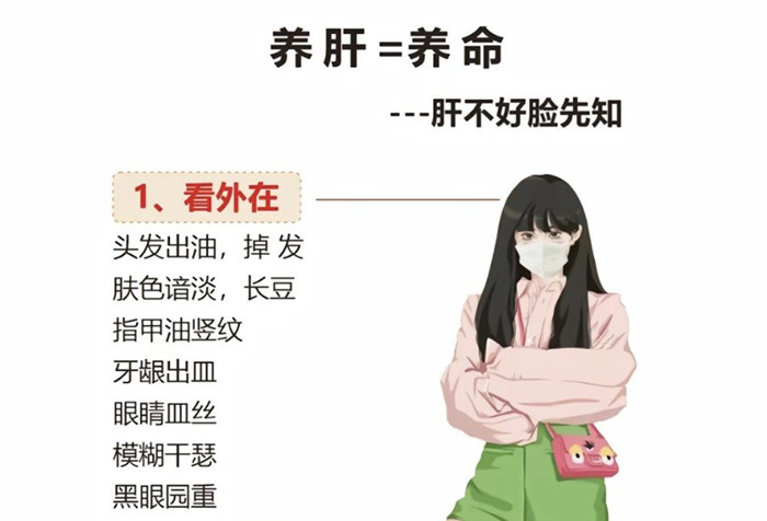 南寧學(xué)健康美容：如何正確養(yǎng)肝？