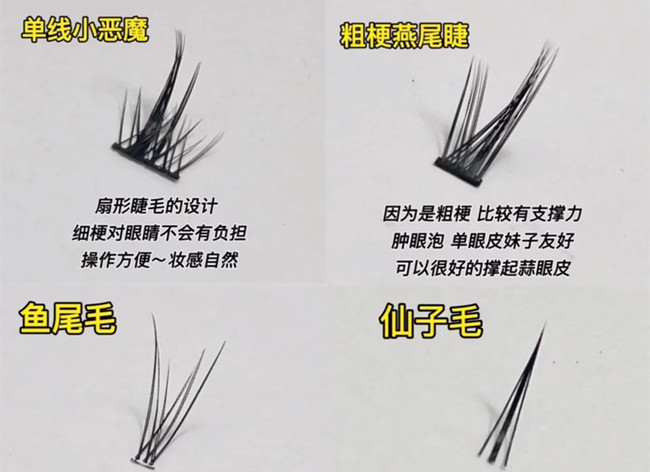 假睫毛科普知識，廣西化妝基礎