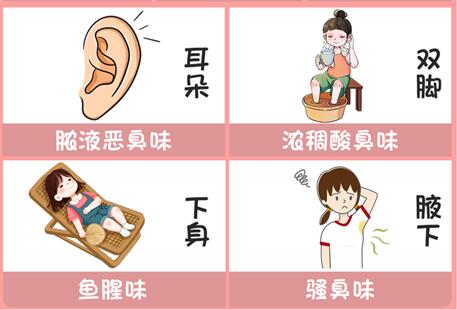 體味重的部位和緩解方法，廣西美容美體專業(yè)介紹