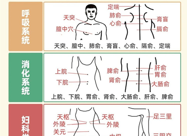 不同部位三伏貼艾灸作用，廣西美體中醫(yī)培訓
