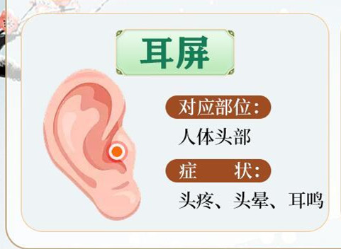 常按耳朵的好處，南寧美容美體哪里專業(yè)？